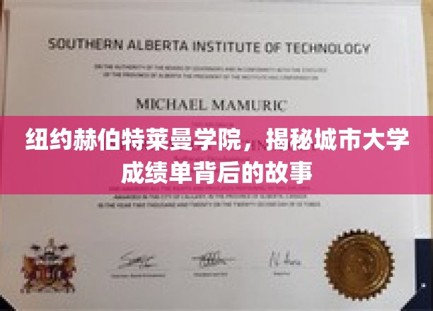 解码纽约赫伯特莱曼学院，城市大学成绩单背后的真实图景