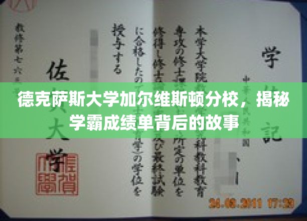 德克萨斯大学学霸成绩单，揭开加尔维斯顿分校的学术奥秘