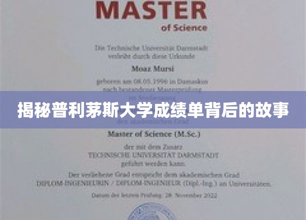 探寻普利茅斯大学成绩单背后的秘密世界