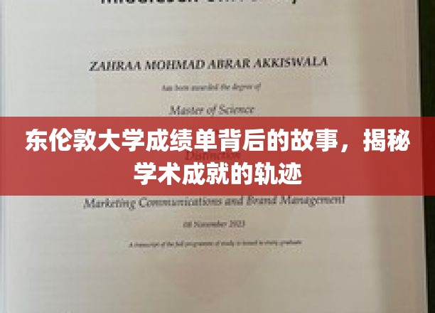 探寻东伦敦大学成绩单背后的秘密，学术成就的精彩轨迹揭晓