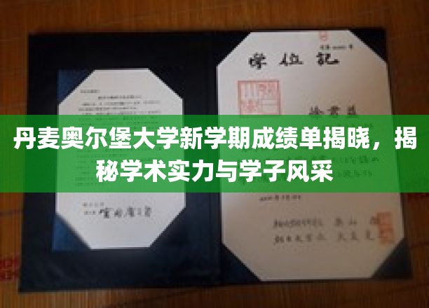 奥尔堡大学新学期成绩闪耀，学子风采与学术实力双丰收