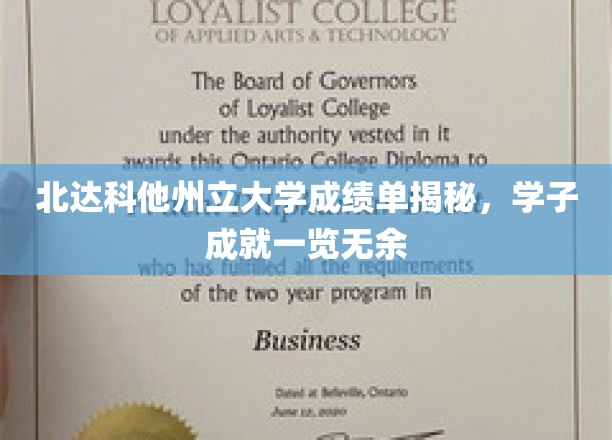北达科他州立大学成绩单揭秘，学子成就一览无余