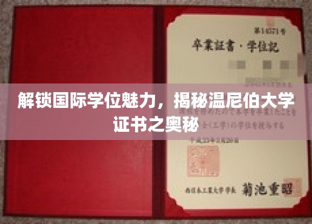 探寻温尼伯大学国际学位的神秘面纱，证书背后的独特魅力