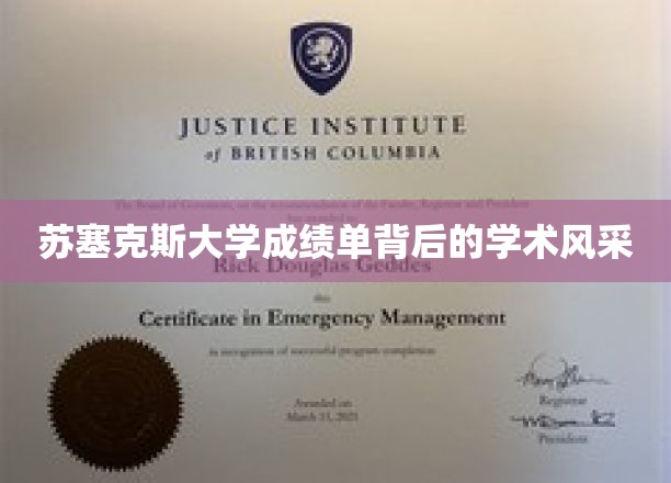 苏塞克斯大学成绩单背后的学术风采
