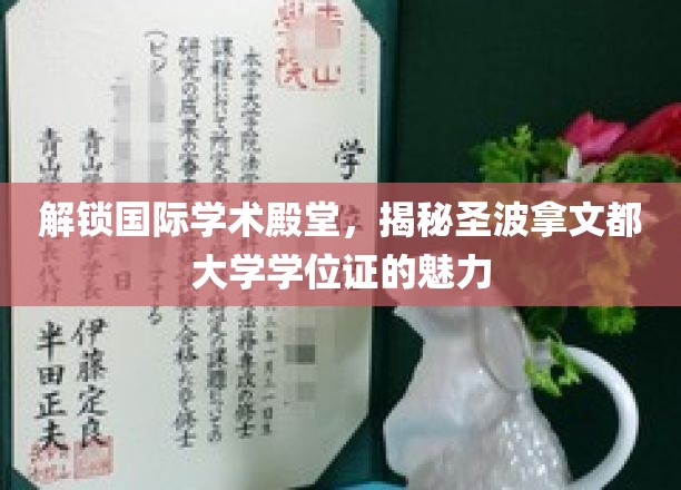 探索圣波拿文都大学学位证的全球认可魅力