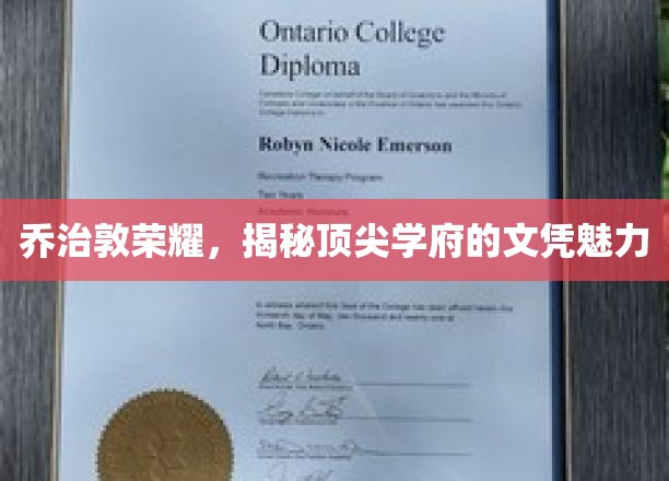 乔治敦荣耀，揭秘顶尖学府的文凭魅力