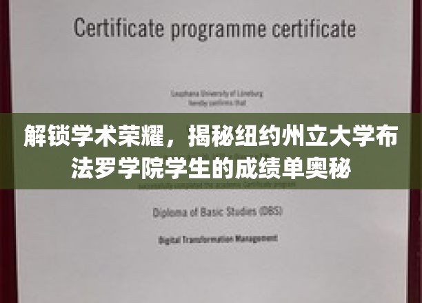 解锁学术荣耀，一探究竟：纽约州立大学布法罗学院学生的成绩单奥秘
