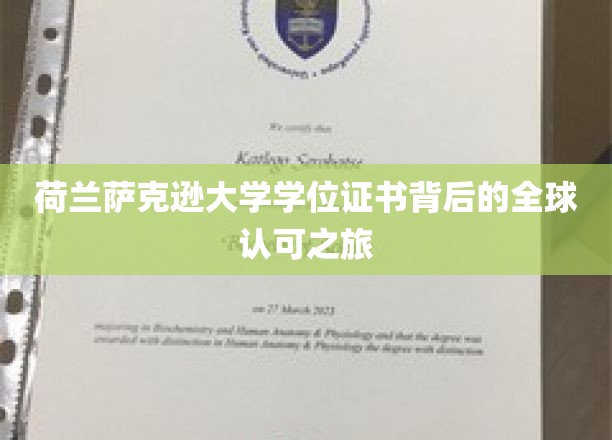 全球通行无阻，揭秘荷兰萨克逊大学学位证书的非凡认可历程