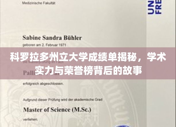 科罗拉多州立大学成绩单解析，学术实力与荣誉榜背后的故事