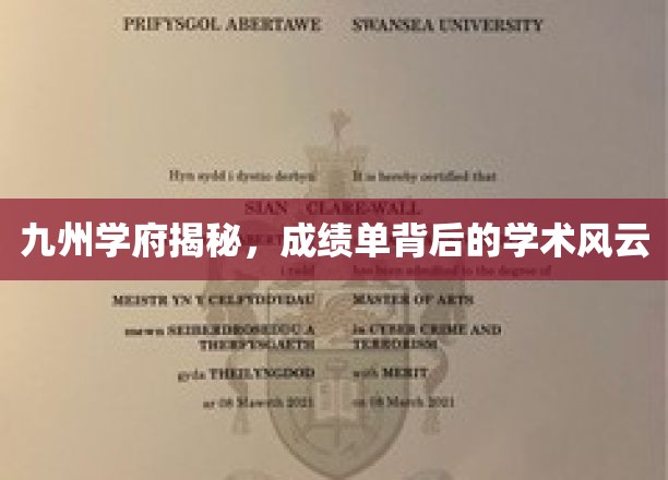 九州学府揭秘，成绩单背后的学术风云