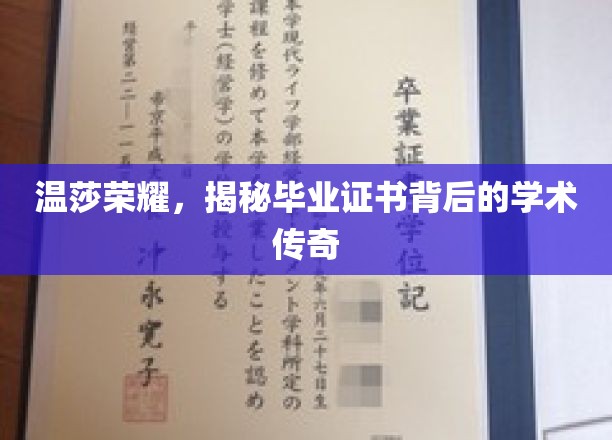 温莎荣耀揭秘，毕业证书背后的非凡学术之旅