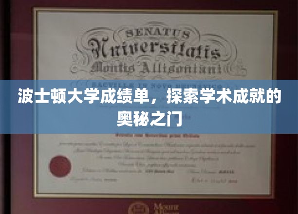 波士顿大学成绩单，探索学术成就的奥秘之门