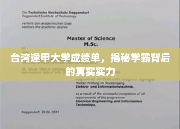 台湾逢甲大学成绩单，揭秘学霸背后的真实实力