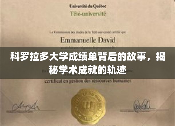 科罗拉多大学成绩单深藏的秘密，探寻学子成就的奥秘之旅