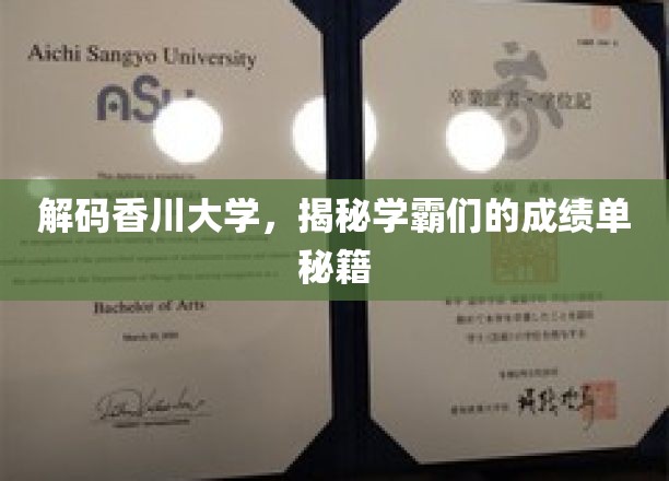 香川大学学霸养成记，揭秘高效学习之道