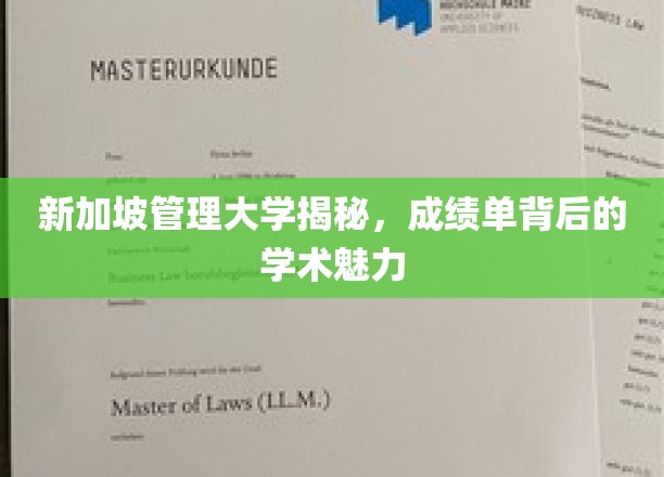 新加坡管理大学，揭开成绩单背后的学术风采