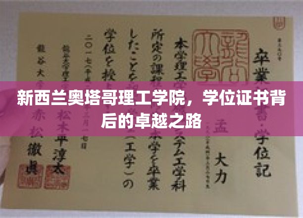 新西兰奥塔哥理工学院，学位证书背后的卓越之路