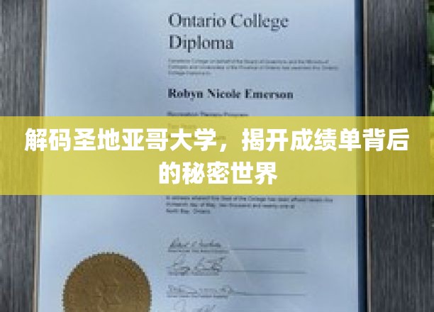 探寻圣地亚哥大学成绩单的隐藏奥秘
