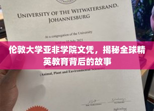 伦敦大学亚非学院文凭，揭秘全球精英教育背后的故事