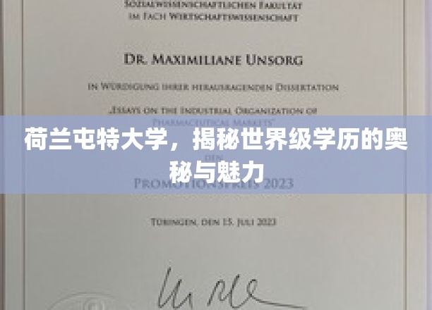 探寻荷兰屯特大学，世界级学历背后的独特魅力