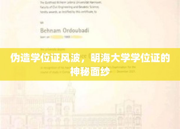明海大学学位证疑云，伪造风波背后的真相揭晓