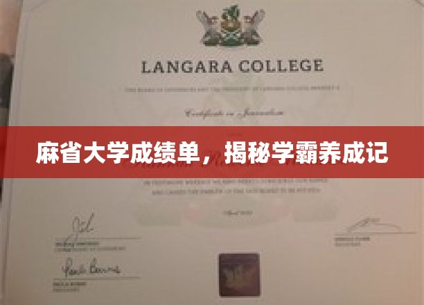 麻省学霸之路，深度解析顶级大学成绩单背后的秘密