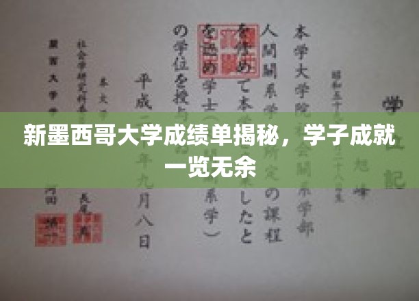 新墨西哥大学成绩单揭秘，学子成就一览无余