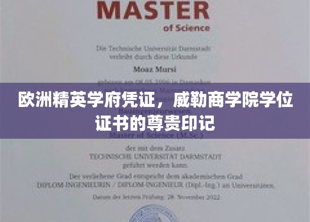 欧洲精英学府荣耀象征，威勒商学院学位证书的尊贵印记解锁