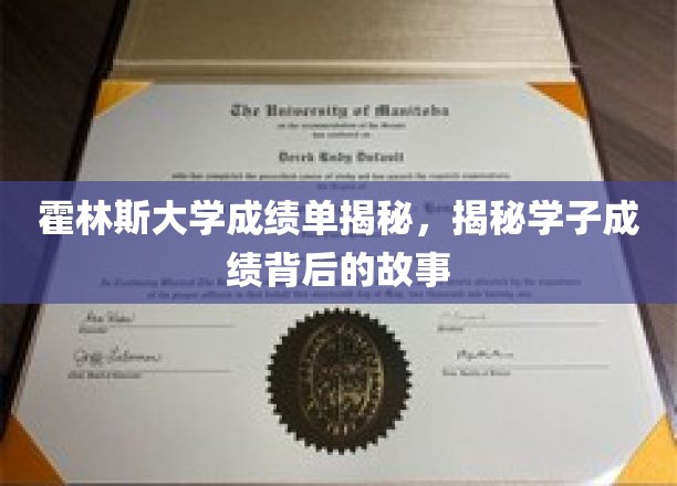 霍林斯大学成绩单背后的学子心路历程大揭秘