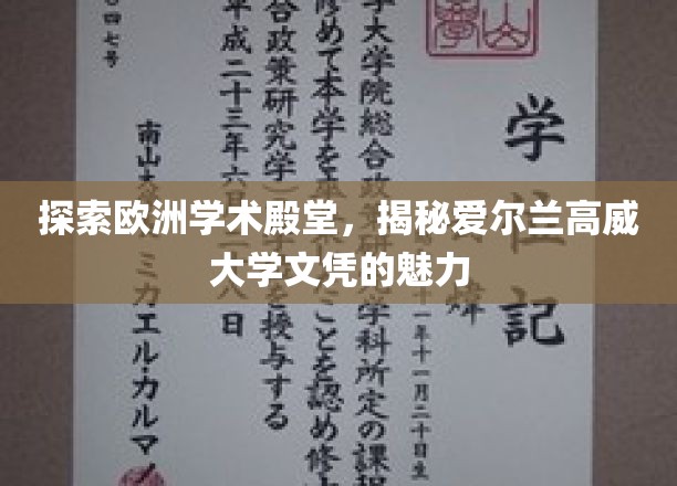 欧洲学府之光，高威大学文凭的非凡吸引力