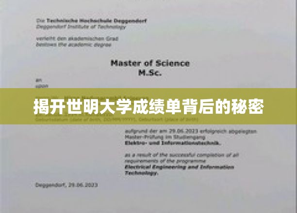 揭秘世明大学成绩单的神秘面纱