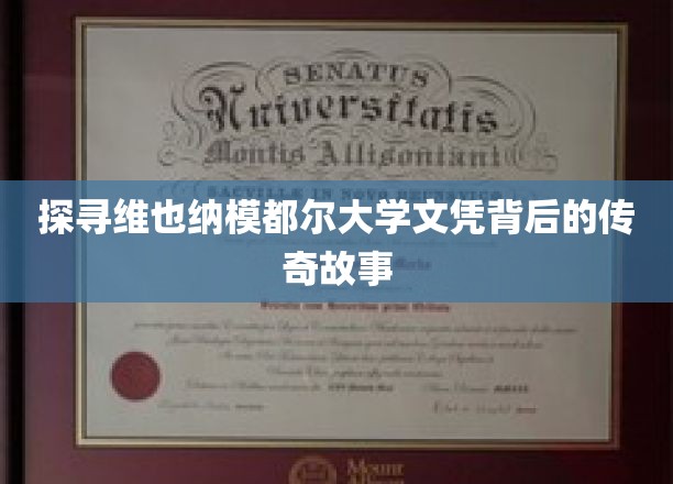 揭开维也纳模都尔大学神秘文凭的传奇奥秘