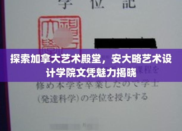 解码加拿大艺术瑰宝，安大略艺术设计学院文凭的魅力之旅