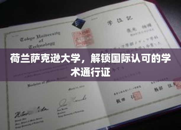 荷兰萨克逊大学，引领全球学术舞台的通行证解锁之旅