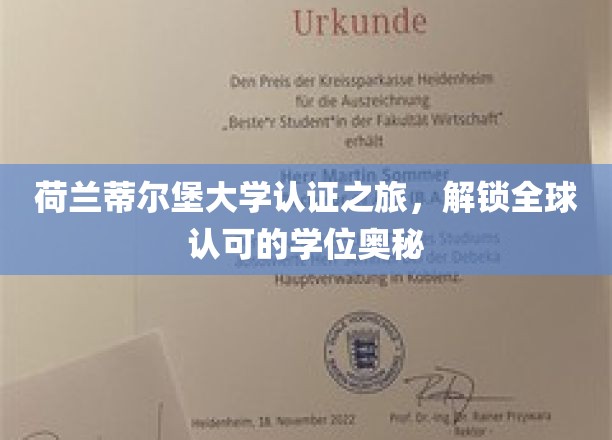 探索荷兰蒂尔堡大学，揭秘国际学位的卓越之路