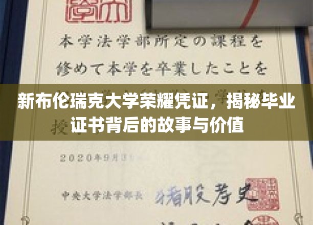 新布伦瑞克大学荣耀凭证，揭秘毕业证书背后的故事与价值