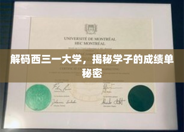 探寻西三一大学学子成绩背后的神秘力量