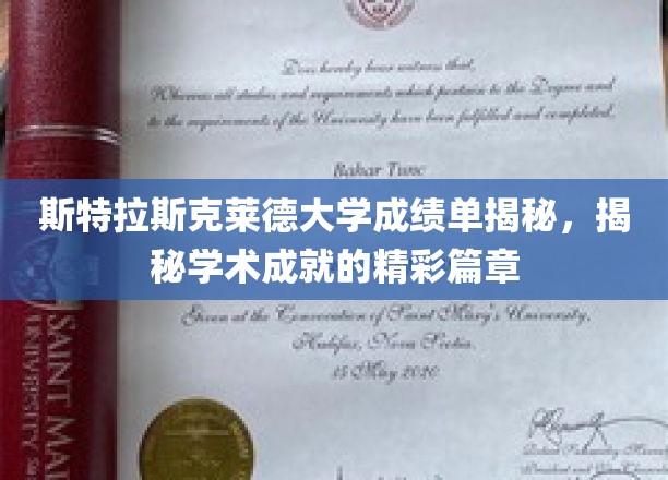 斯特拉斯克莱德大学成绩单揭秘，揭秘学术成就的精彩篇章