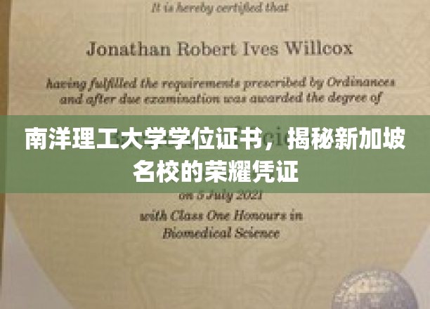 南洋理工大学学位证书，揭示新加坡名校的荣耀象征