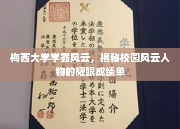 校园璀璨之星，梅西大学学霸群英录，一窥非凡成绩背后的故事