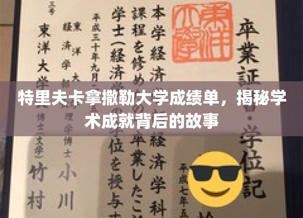特里夫卡拿撒勒大学成绩单，揭秘学术成就背后的故事