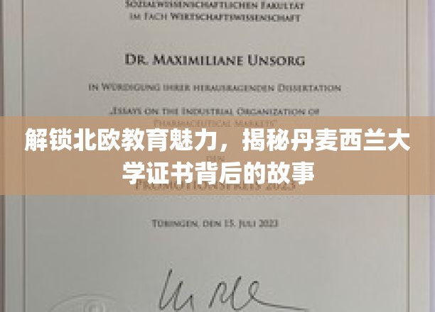 探索丹麦西兰大学证书的北欧教育奥秘