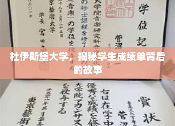 杜伊斯堡大学，揭示学生成绩单背后的故事