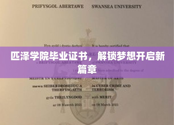 匹泽学院毕业证书，解锁梦想开启新篇章