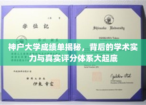神户大学评分之谜，探究其学术实力与真实评分体系内幕