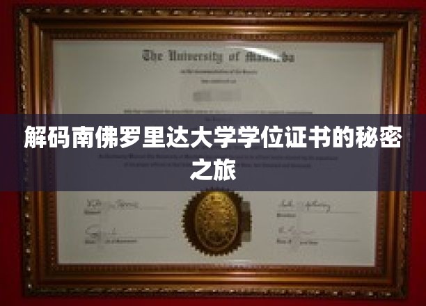 探寻南佛罗里达大学学位证书背后的非凡奥秘