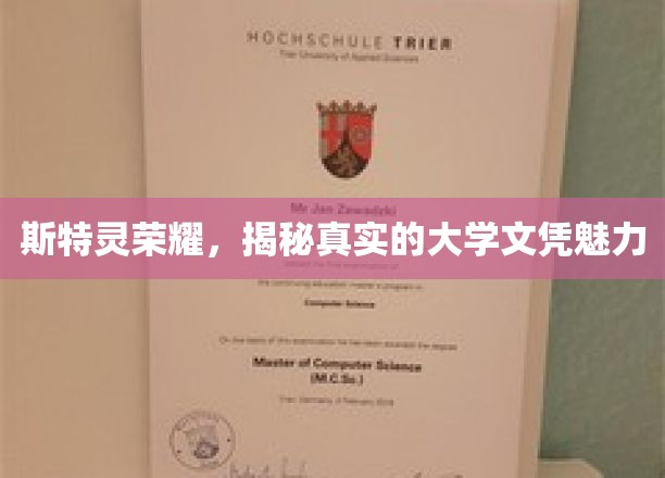 斯特灵荣耀，揭秘真实的大学文凭魅力