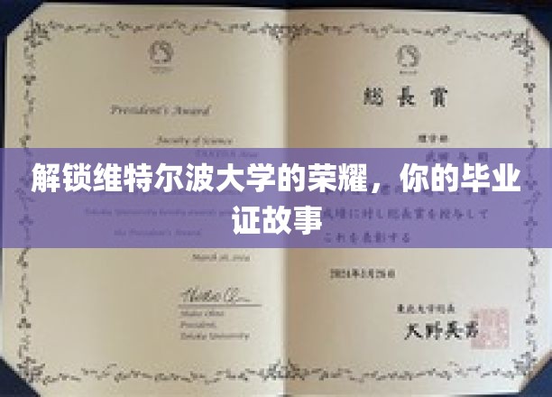 探寻维特尔波荣耀之旅，毕业证背后的独家故事