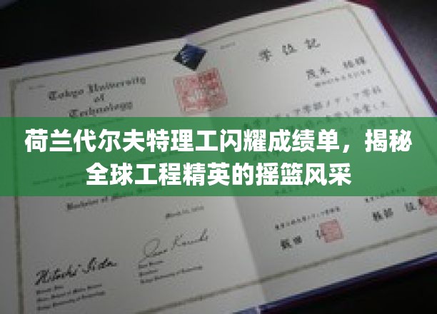 荷兰代尔夫特理工，全球工程精英摇篮的卓越篇章