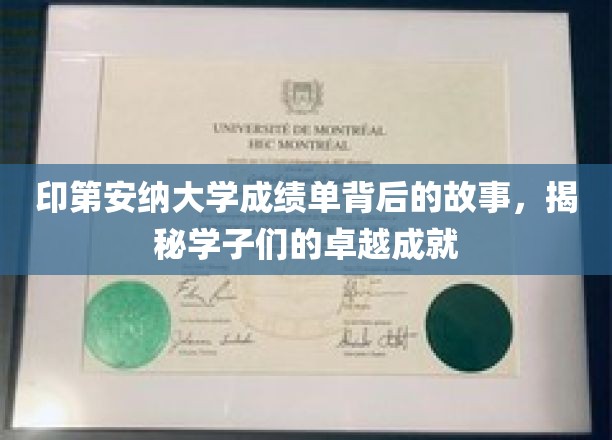 探寻印第安纳大学学子卓越之路，成绩单背后的非凡故事